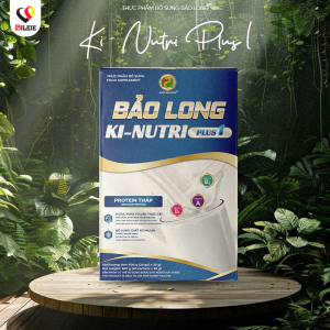 THỰC PHẨM BỔ SUNG BẢO LONG KI-NUTRI PLUS 1