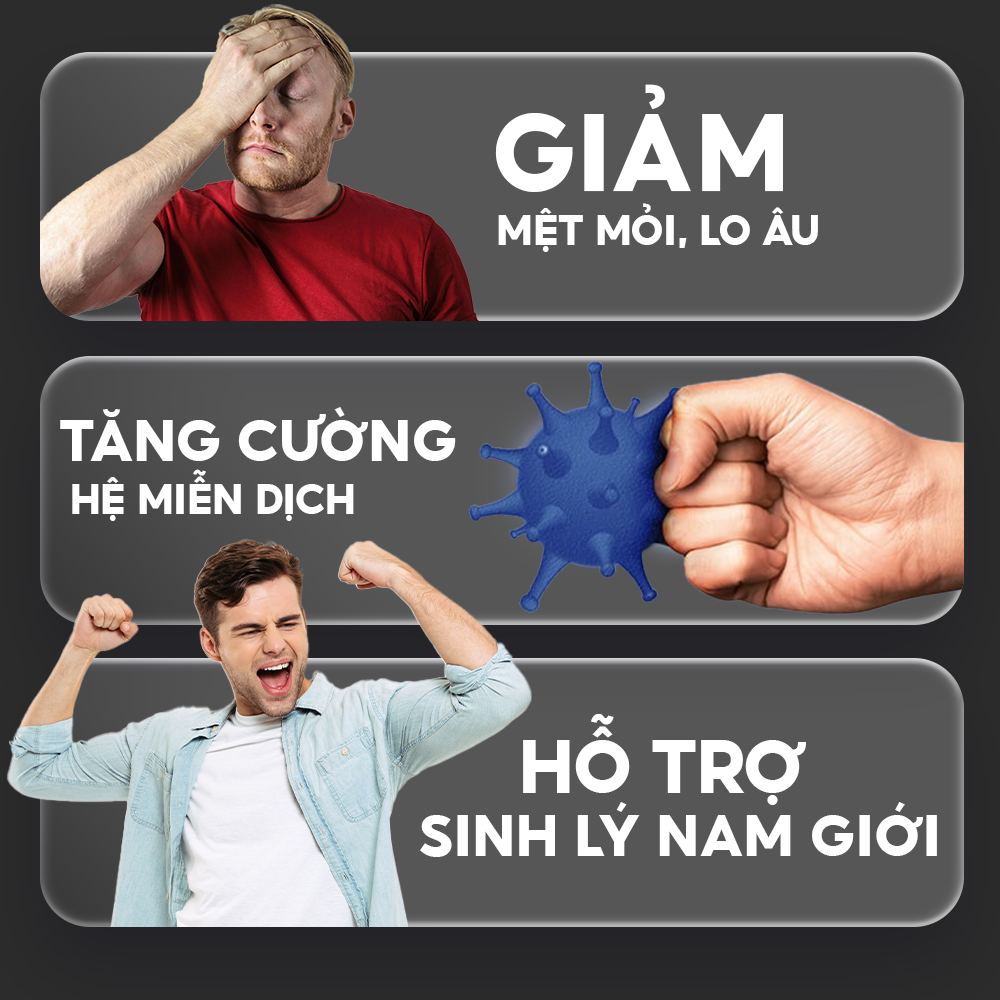 Sâm Quế Tửu - Ảnh 5