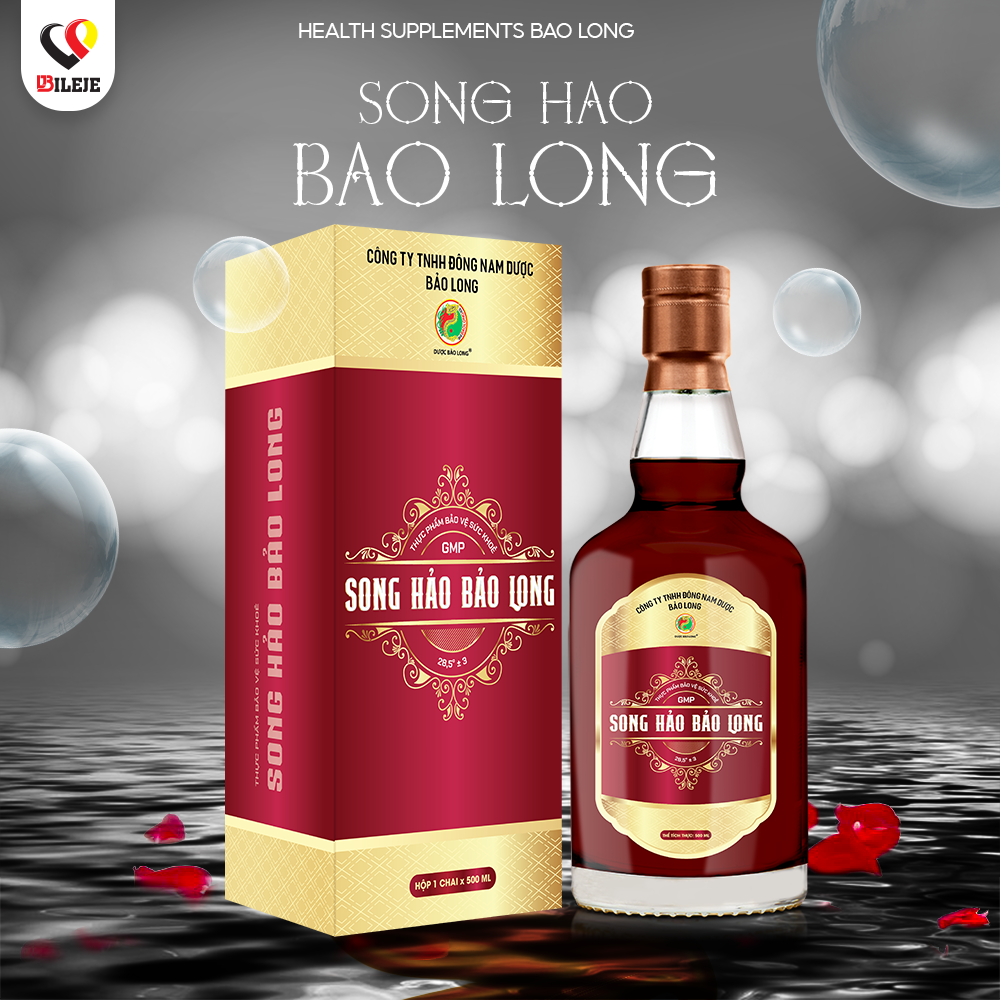 SONG HAO BAO LONG