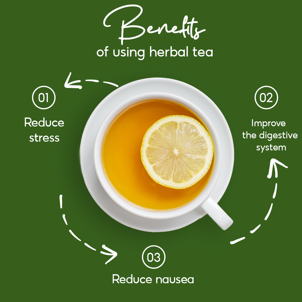 BAO LONG DANDELION HERBAL TEA – Image 5