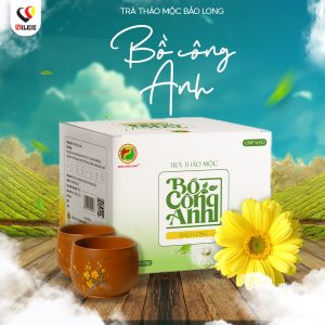 TRÀ THẢO MỘC BỒ CÔNG ANH BẢO LONG