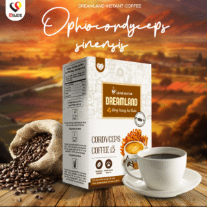 INSTANTKAFFEE DREAMLAND CORDYCEPS SINENSIS