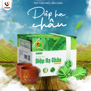 TRÀ THẢO MỘC DIỆP HẠ CHÂU BẢO LONG