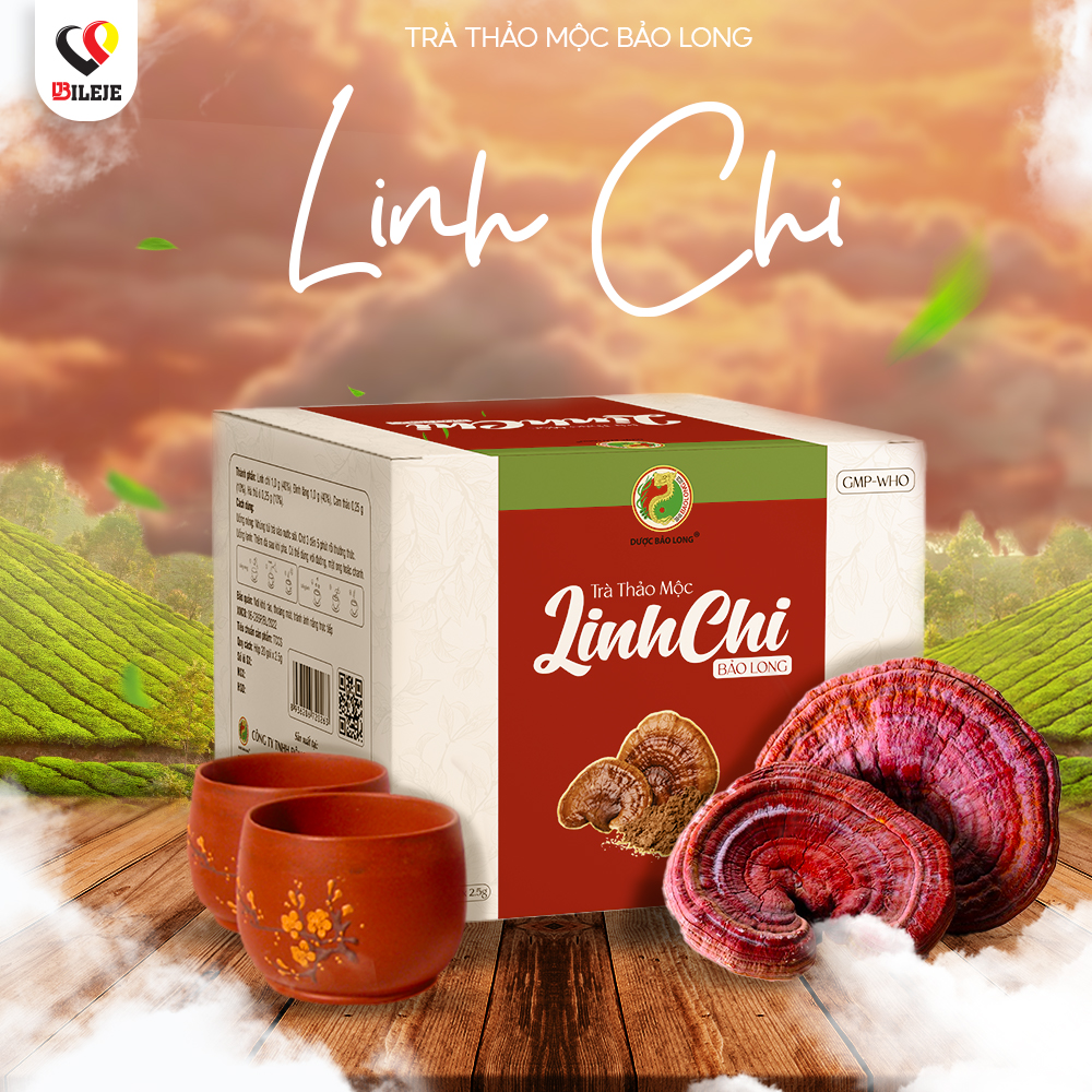 TRÀ THẢO MỘC LINH CHI BẢO LONG