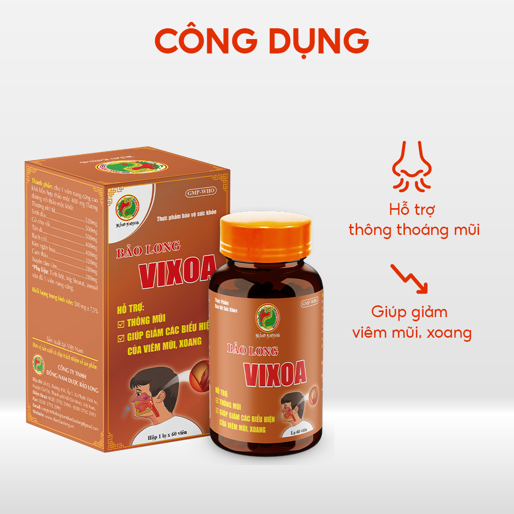 Bảo Long VIXOA - Ảnh 2