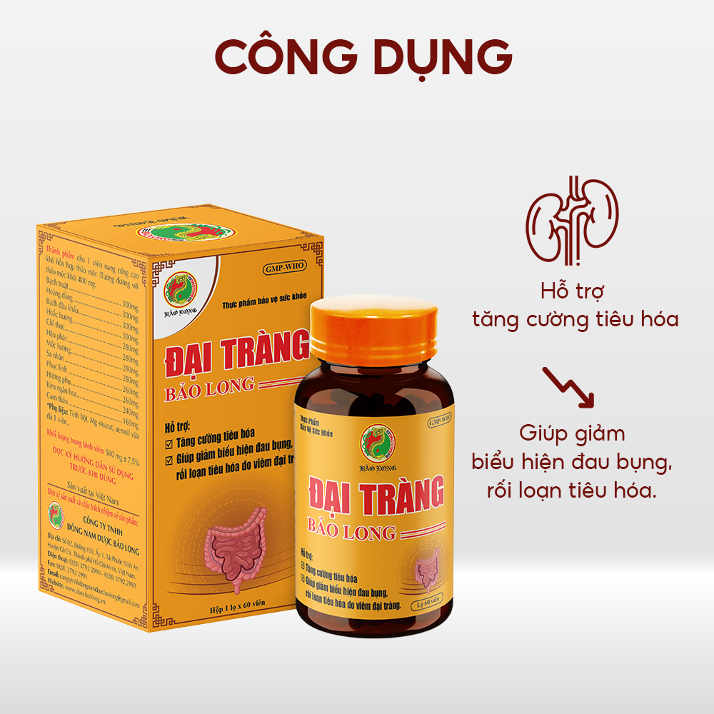 Đại Tràng Bảo Long - Ảnh 3