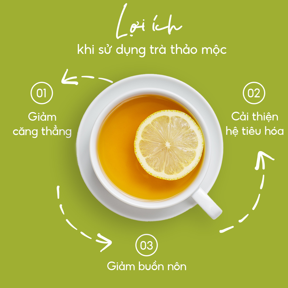 TRÀ THẢO MỘC CÚC HOA BẢO LONG - Ảnh 3