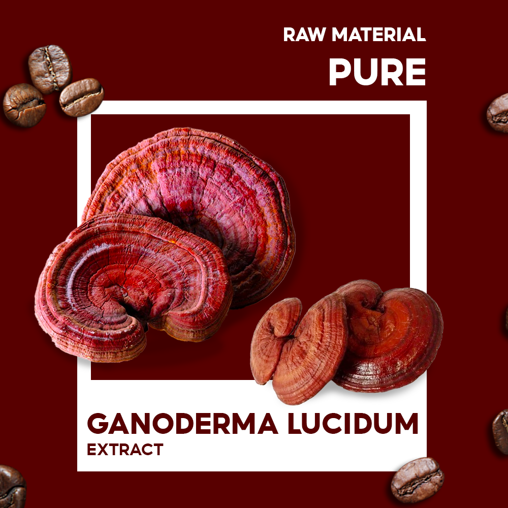 INSTANT COFFEE DREAMLAND GANODERMA - Image 3