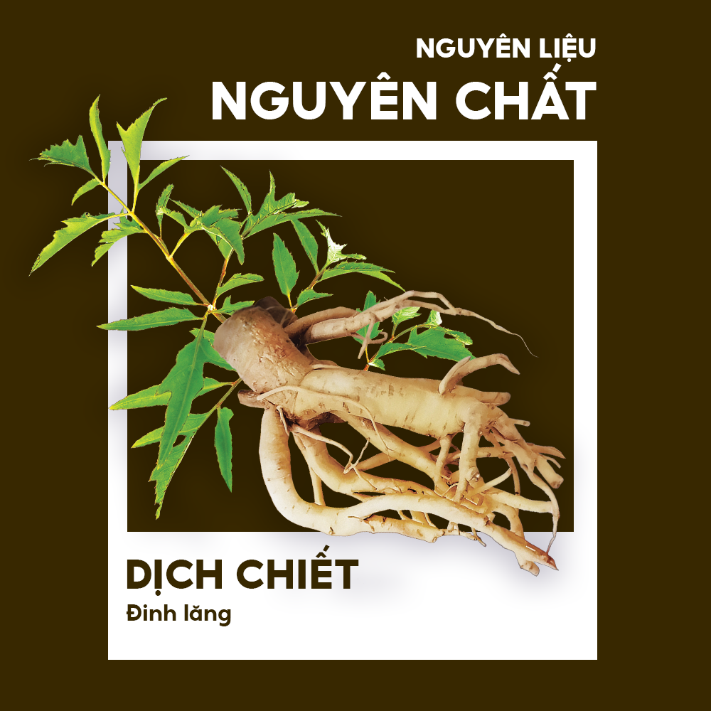 NƯỚC ĐINH LĂNG - Ảnh 3