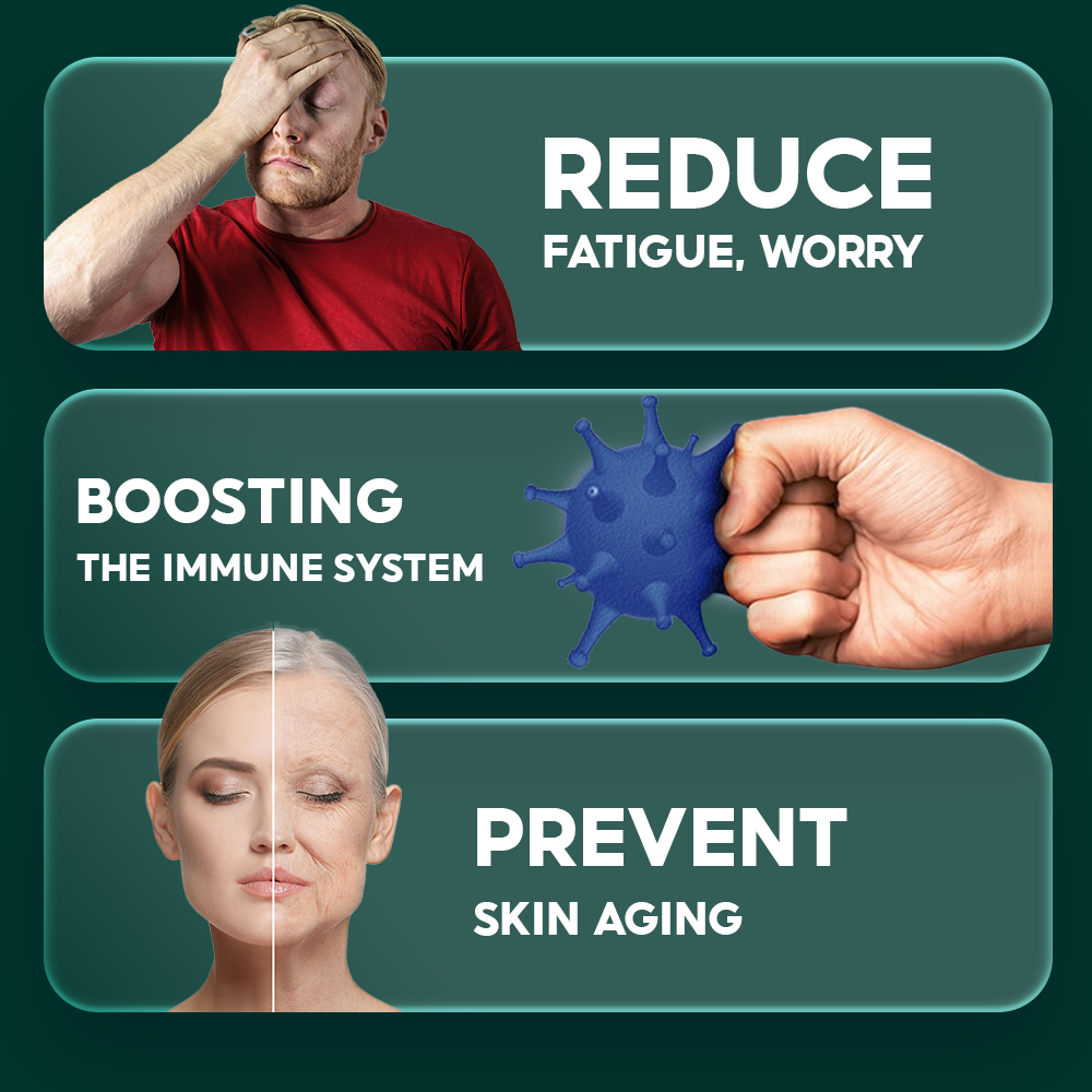 LOTUS CORE SEED DRINK - Image 4