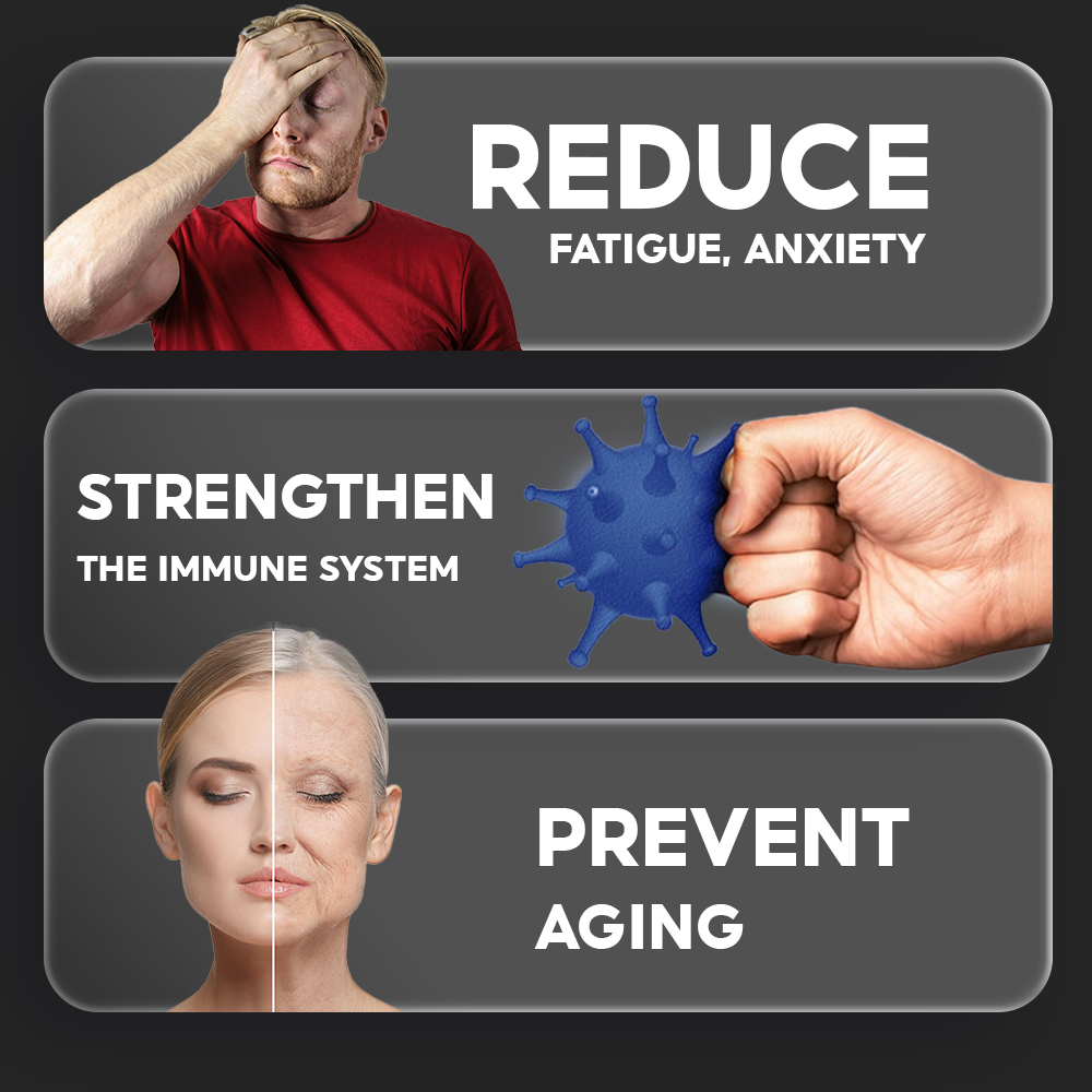 SAM LINH CHI - Image 4