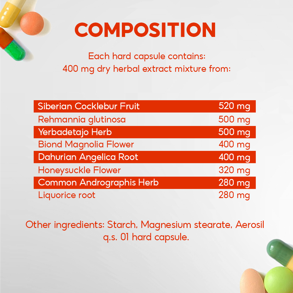 BAO LONG VIXOA - Image 4