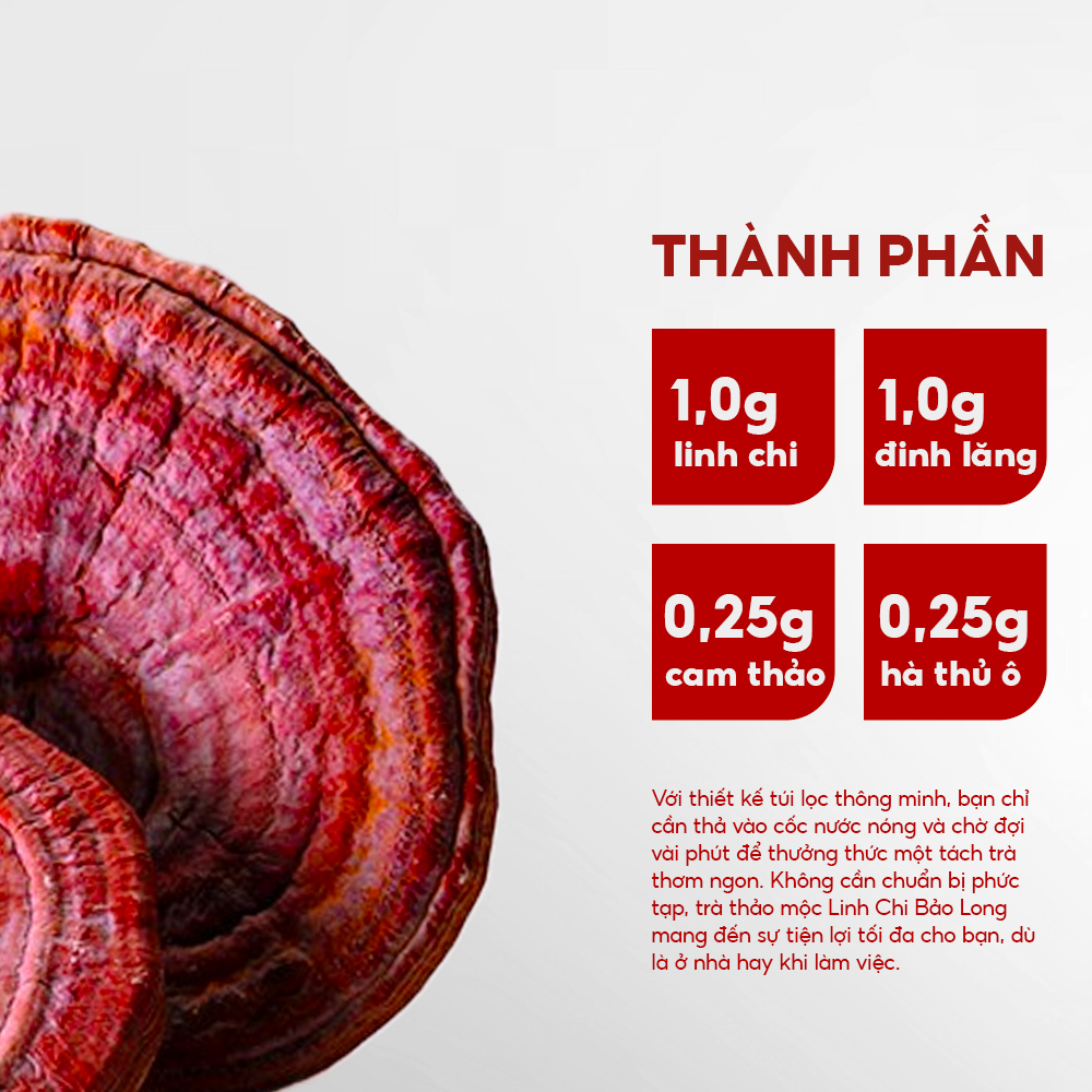 TRÀ THẢO MỘC LINH CHI BẢO LONG - Ảnh 3