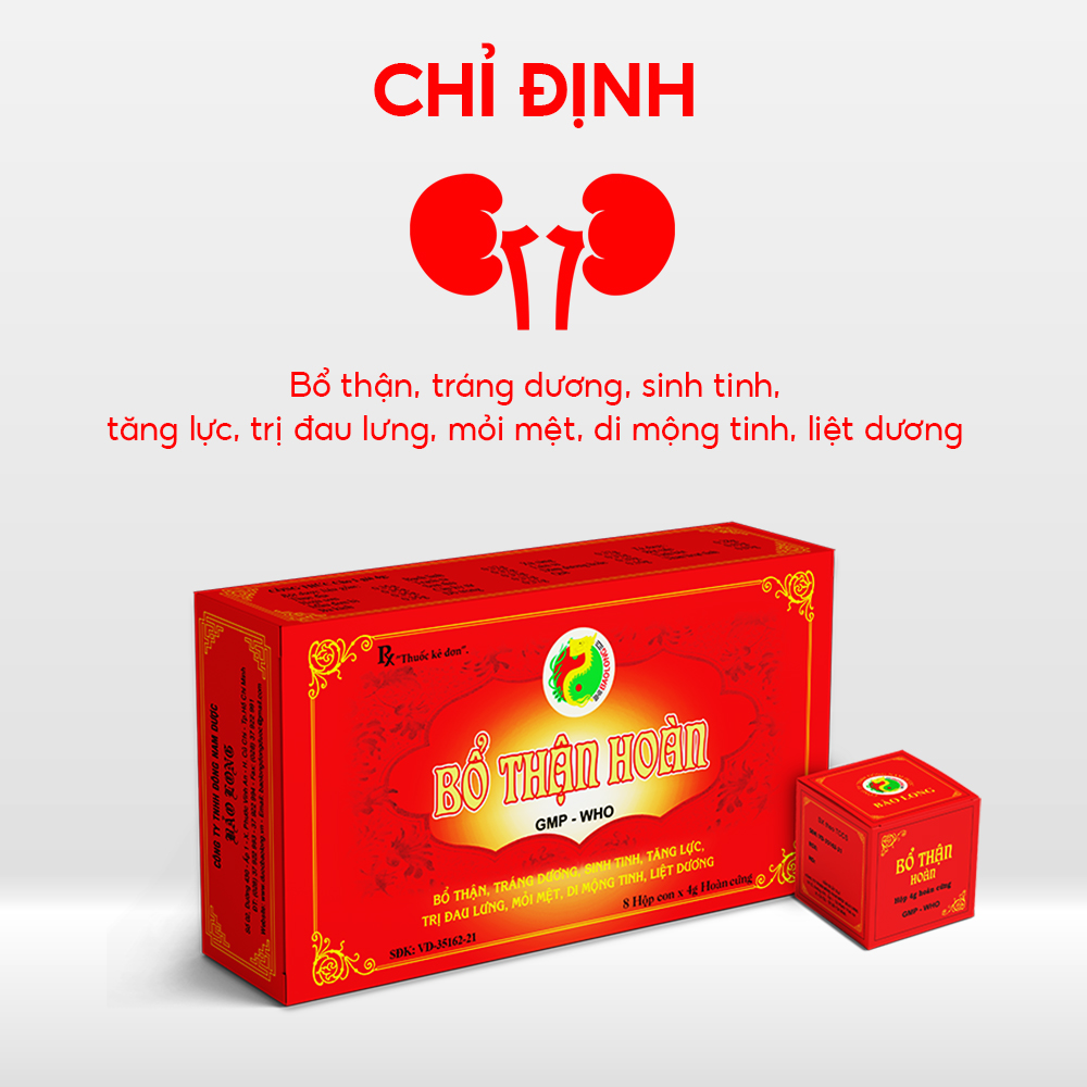 BỔ THẬN HOÀN - Ảnh 2