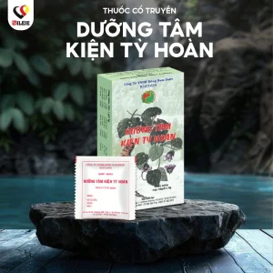 DƯỠNG TÂM KIỆN TỲ HOÀN