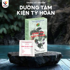 DƯỠNG TÂM KIỆN TỲ
