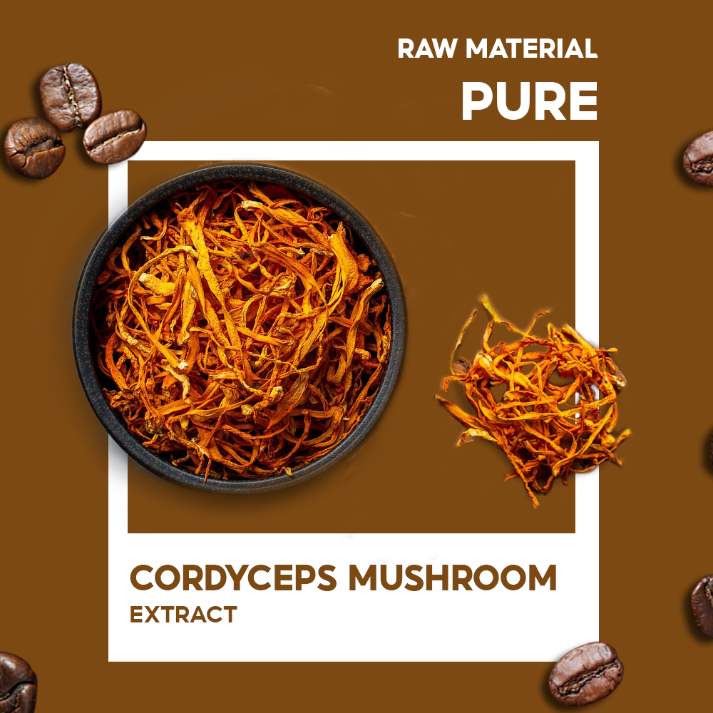 INSTANT COFFEE DREAMLAND OPHIOCORDYCEPS SINENSIS – Image 3