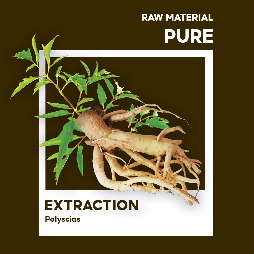 MING ARALIA DRINK - Image 3