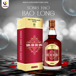 SONG HAO BAO LONG